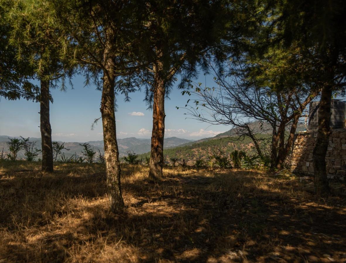 Blusalzz Homes - The Himalayan Bungalow, Almora - Uttarakhand Esterno foto